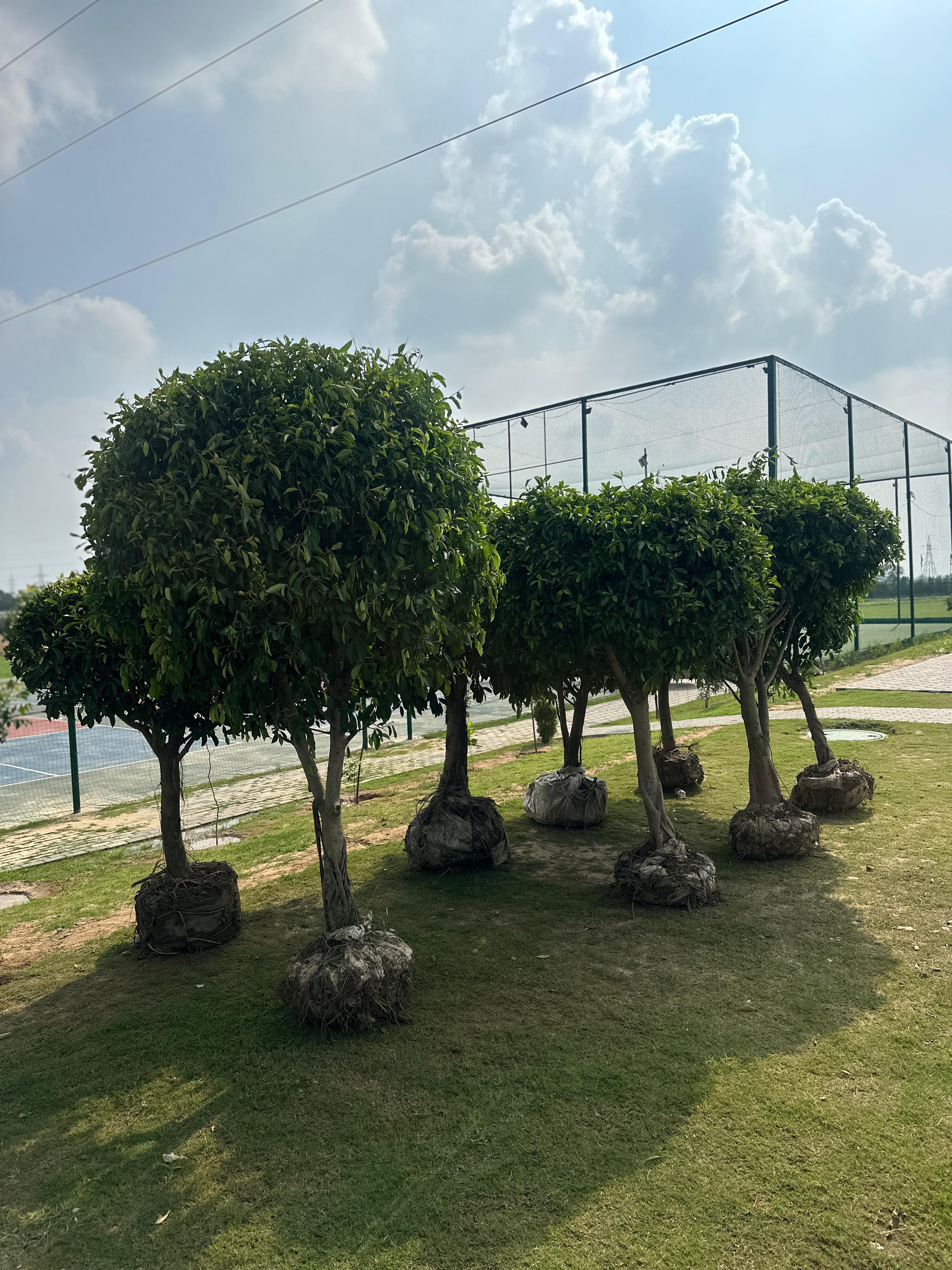 Numax Civil Lines photo 4